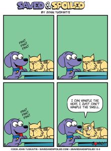 ‘Saved & Spoiled’: 25 Hilarious Comics About My Rescue Dog And Pedigree Cat (New Pics)
